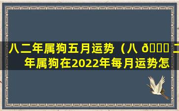 八二年属狗五月运势（八 🍀 二年属狗在2022年每月运势怎 🐝 么样）